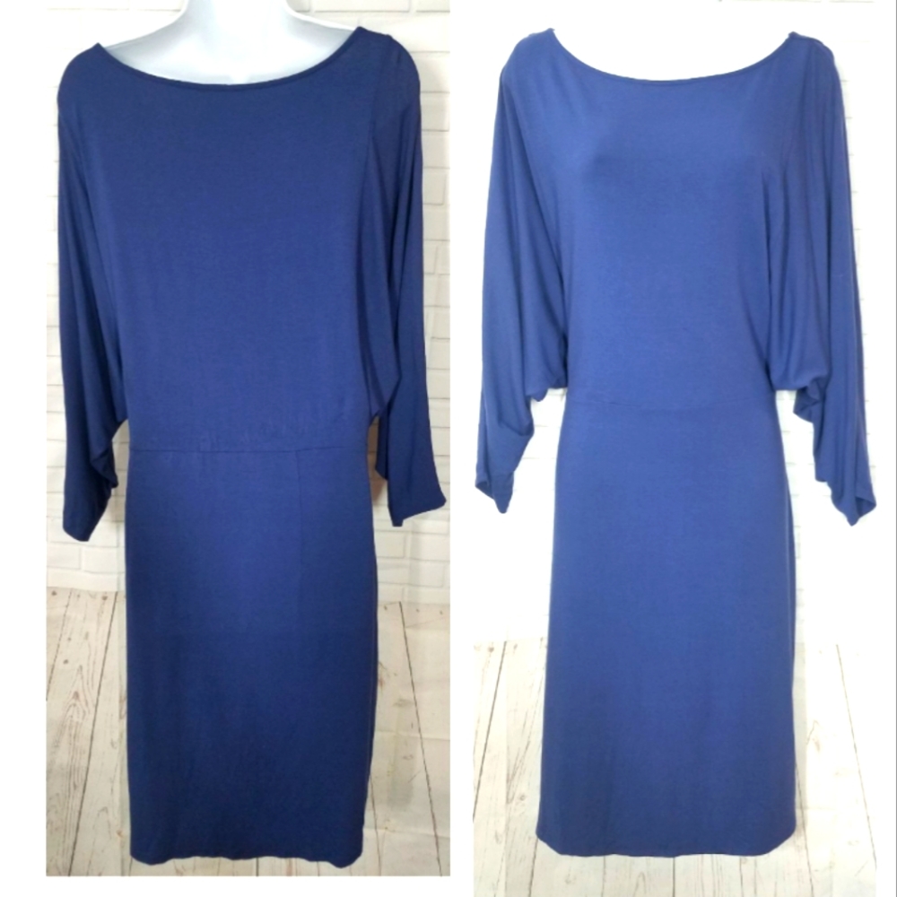 Ann Taylor Blue Midi Dress